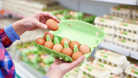 Россия может в полтора раза нарастить экспорт яиц